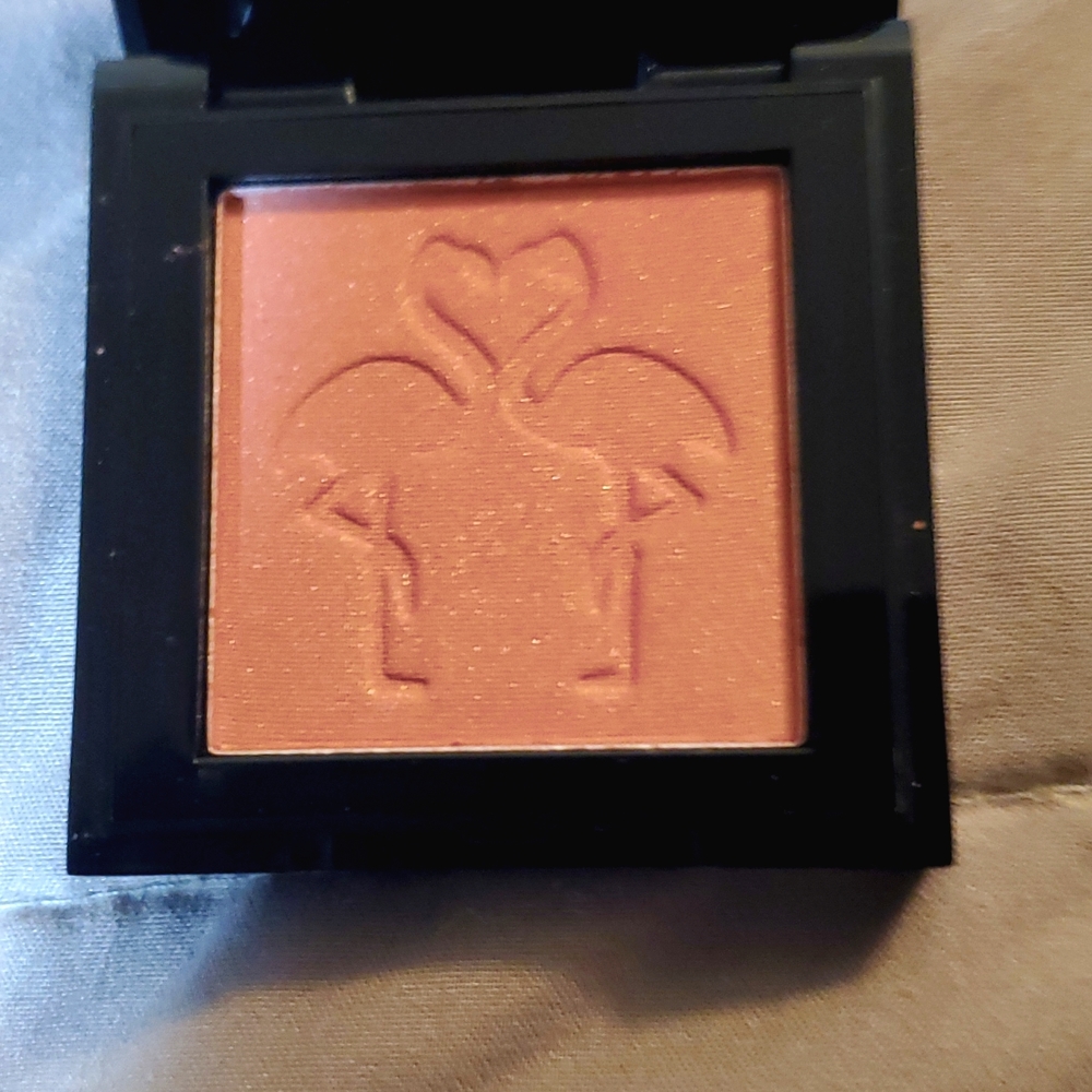 Shaina B Miami-Blush In Brickell  Travel Size